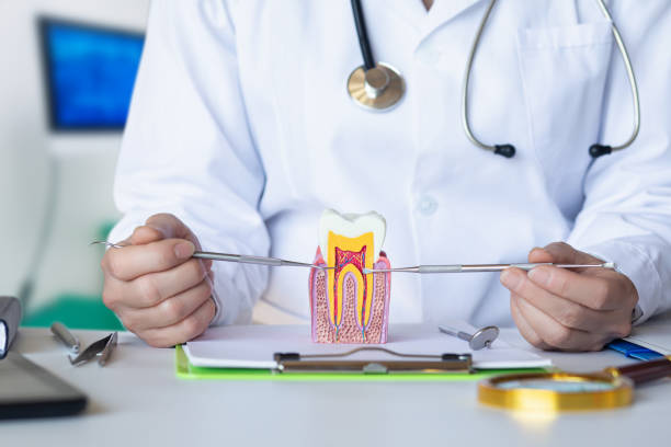 Best Emergency Tooth Extraction in Stiles, PA